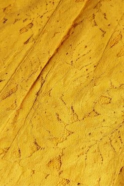 Ted Baker Yellow Mini Lace With Oversized Pockets Shirt Dress -Tedbaker Sales 2024 unnamed file 1353