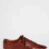 Ted Baker Brown Udamo Leather Trainers -Tedbaker Sales 2024 unnamed file 3551