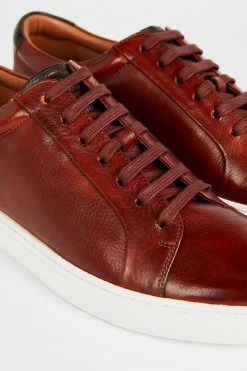 Ted Baker Brown Udamo Leather Trainers -Tedbaker Sales 2024 unnamed file 3554