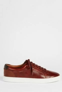 Ted Baker Brown Udamo Leather Trainers -Tedbaker Sales 2024 unnamed file 3556